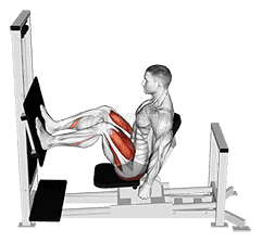 Thumbnail for the video of exercise: Lever Horizontal Leg Press