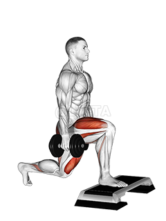 Thumbnail for the video of exercise: Dumbbell Split Squat የፊት እግር ከፍ ያለ