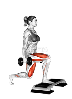 Thumbnail for the video of exercise: Dumbbell Split Squat የፊት እግር ከፍ ያለ