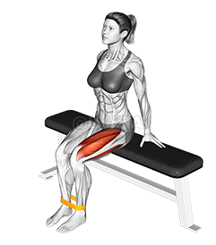 Seated Leg Extensions Exercise Demonstration
