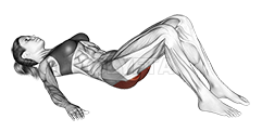 Thumbnail for the video of exercise: Low Glute Bridge on floor