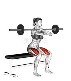 Thumbnail for the video of exercise: Barbell Bench Front Squat