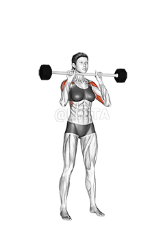 Thumbnail for the video of exercise: Barbell Standing Close Grip Military Press