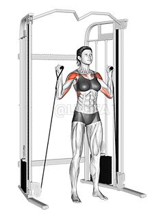 Thumbnail for the video of exercise: Cable Alternate Shoulder Press