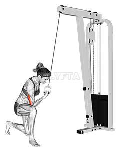 Thumbnail for the video of exercise: Cable Concentration Extension