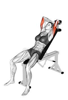 Thumbnail for the video of exercise: Dumbbell Incline Two Arm Extension