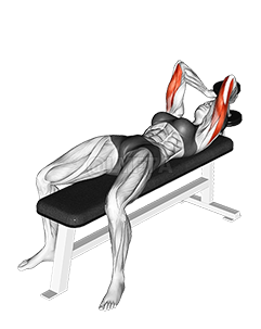 Thumbnail for the video of exercise: Dumbbell Lying Single Extension
