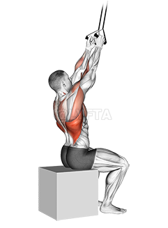 Thumbnail for the video of exercise: الفرقة الثابتة العودة إغلاق قبضة المنسدلة