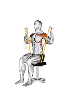 Thumbnail for the video of exercise: Resistance Band Seated Shoulder Press