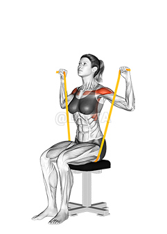 Thumbnail for the video of exercise: Resistance Band Seated Shoulder Press