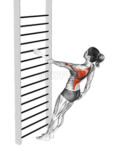 Thumbnail for the video of exercise: Bodyweight Standing One Arm Row