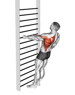 Thumbnail for the video of exercise: Bodyweight Standing One Arm Row