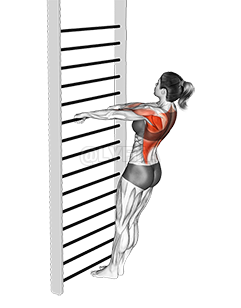 Thumbnail for the video of exercise: Bodyweight Standing Row