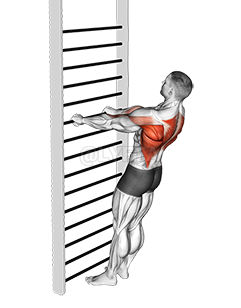 Thumbnail for the video of exercise: Bodyweight Standing Row