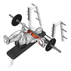 Thumbnail for the video of exercise: Barbell Bench Press