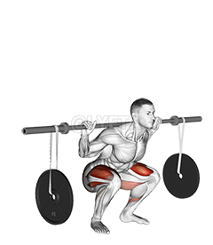 Thumbnail for the video of exercise: Barbell azali kosala Squat