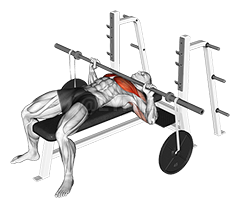 Thumbnail for the video of exercise: Barbell Bench Press