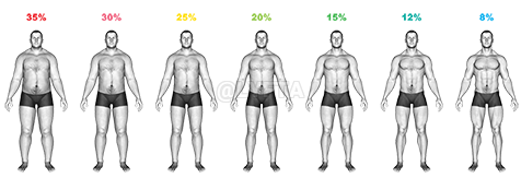 Thumbnail for the video of exercise: Body Fat Percentage