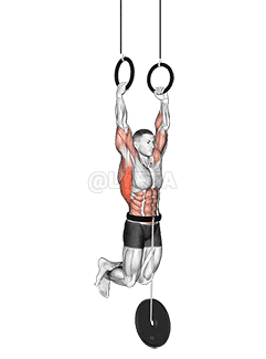 Thumbnail for the video of exercise: Weighted Muscle up