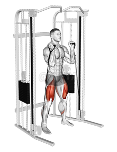 Thumbnail for the video of exercise: Cable Front Squat