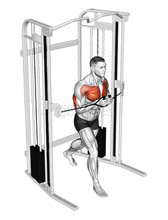 Thumbnail for the video of exercise: Cable Standing Close Press