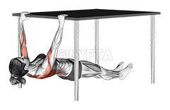 Thumbnail for the video of exercise: Inverted Row under Table