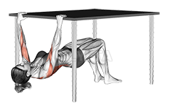 Thumbnail for the video of exercise: Inverted Row Bent Knee under Table