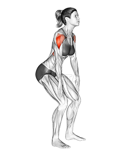 Thumbnail for the video of exercise: Standing T-raise