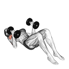 Thumbnail for the video of exercise: Dumbbell Lying on Floor Hammer Press