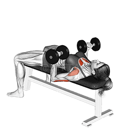 Thumbnail for the video of exercise: Dumbbell Reverse Bench Press