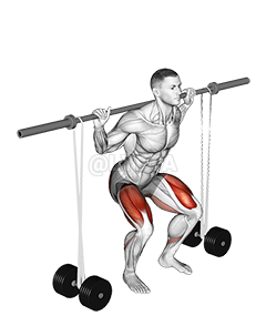 Thumbnail for the video of exercise: Barbell Banded Squat Ezali na ba squat