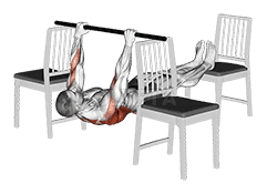 Thumbnail for the video of exercise: Elevanted Inverted Row between 3 Chairs