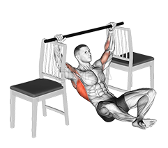 Thumbnail for the video of exercise: Seated Pull-up between Chairs