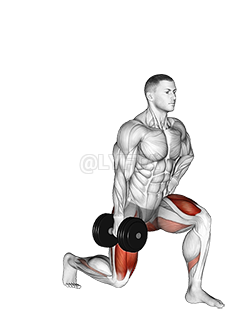 Thumbnail for the video of exercise: Dumbbell Contralateral Forward Lunge