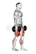 Thumbnail for the video of exercise: Dumbbell RDL Saya Marisikalo