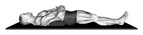 Thumbnail for the video of exercise: Static Position Lying Back with Pad