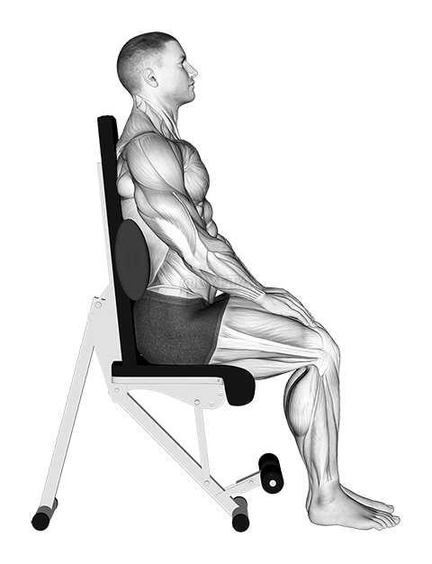 Thumbnail for the video of exercise: Static Position Seated Back with Pad