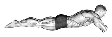 Thumbnail for the video of exercise: Static Position Lying Front