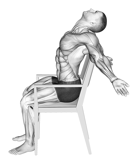 Thumbnail for the video of exercise: Static Position Seated Back