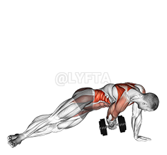 Thumbnail for the video of exercise: Dumbbell Side Plank with Rear Fly