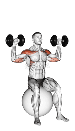 Thumbnail for the video of exercise: Dumbbell Seated on Exercise Ball Shoulder Press