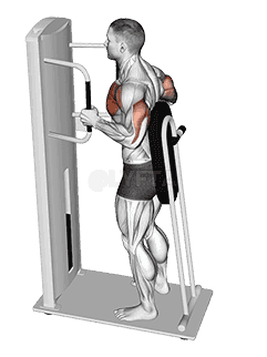 Thumbnail for the video of exercise: Lever Standing Chest Press