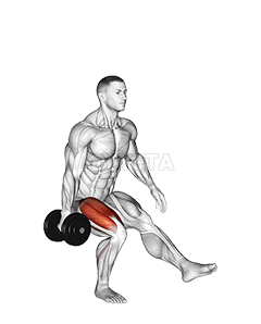 Thumbnail for the video of exercise: Dumbbell Single Leg Squat