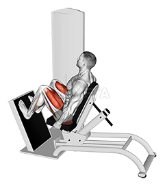 Thumbnail for the video of exercise: Lever Seated Horizontal Leg Press