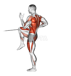 Thumbnail for the video of exercise: Band High Knee Lunge with Single Arm Row