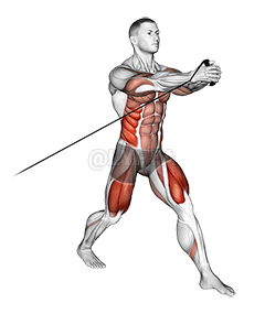 Thumbnail for the video of exercise: Band Split Squat with Horizontal Pallof Hold