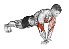 Thumbnail for the video of exercise: Cross Arms Push-up