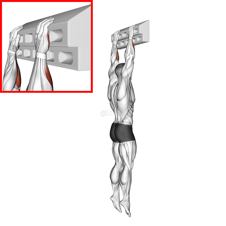 Thumbnail for the video of exercise: Handboard Slope Hang