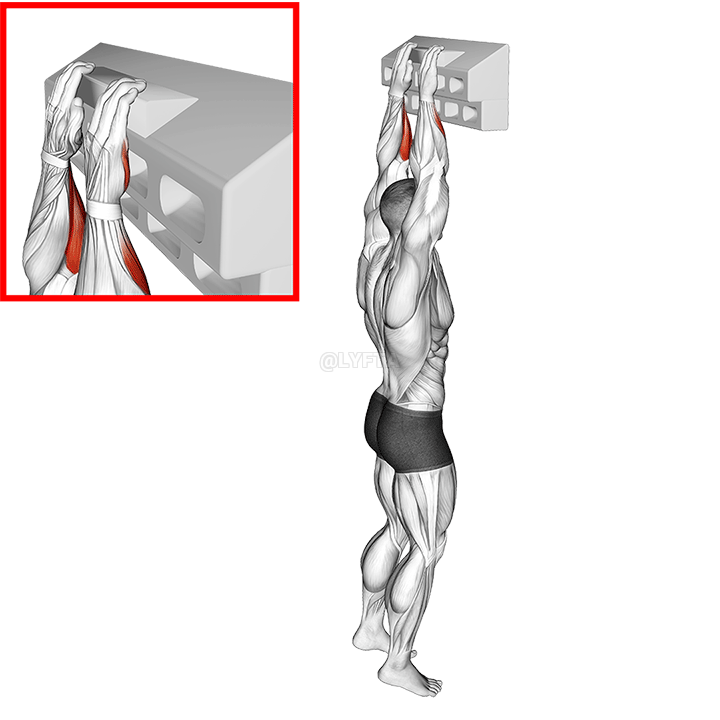 Thumbnail for the video of exercise: Empuñadura abierta para tablero de mano