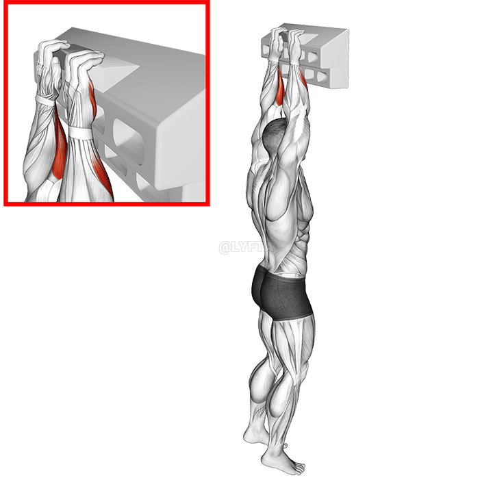 Thumbnail for the video of exercise: हॅंडबोर्ड हाफ क्रिम्प